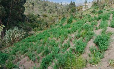 EN VENTA TERRENO PARA  VIVIENDA EN PINLLO AMBATO