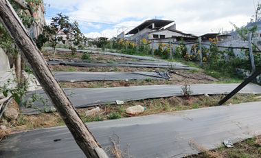 EN VENTA TERRENO PARA  VIVIENDA EN PINLLO AMBATO