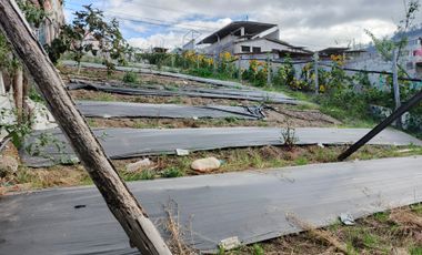 EN VENTA TERRENO PARA  VIVIENDA EN PINLLO AMBATO