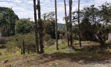 TERRENO MULTIPROPÓSITO EN SHELL MERA EN VENTA