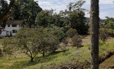 TERRENO MULTIPROPÓSITO EN SHELL MERA EN VENTA