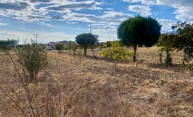 Terreno de 800 m2 de venta en Tabacundo (Urb. Hacienda La Pradera)