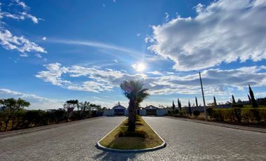 Terreno de 800 m2 de venta en Tabacundo (Urb. Hacienda La Pradera)