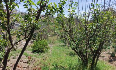 TERRENO EN VENTA EN PINLLO - AMBATO