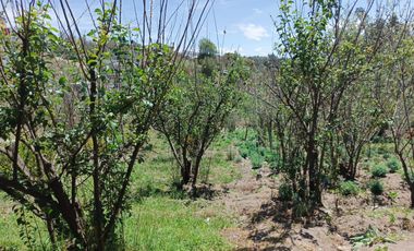 TERRENO EN VENTA EN PINLLO - AMBATO