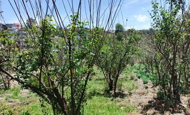 TERRENO EN VENTA EN PINLLO - AMBATO