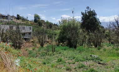 TERRENO EN VENTA EN PINLLO - AMBATO