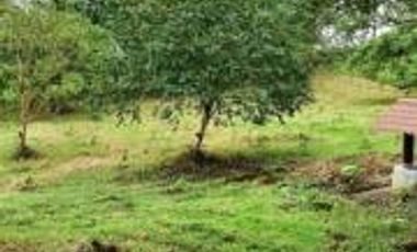Venta Quinta de bambú en Pedro Vicente Maldonado 6890 m2