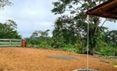 Venta Quinta de bambú en Pedro Vicente Maldonado 6890 m2