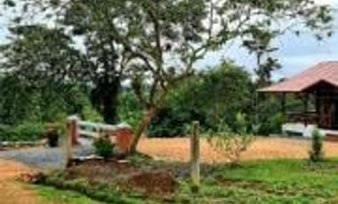 Venta Quinta de bambú en Pedro Vicente Maldonado 6890 m2