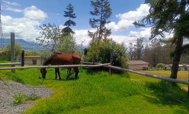 LOTES EN VENTA SECTOR NORTE EXCLUSIVO EN AMBATO