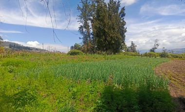 LOTE EN VENTA SECTOR NORTE DE AMBATO. EXCLUSIVO