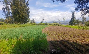 LOTE EN VENTA SECTOR NORTE DE AMBATO. EXCLUSIVO