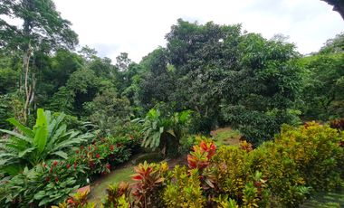 Venta Hostal Turística en Puerto Quito, 3 hectáreas