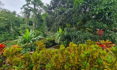 Venta Hostal Turística en Puerto Quito, 3 hectáreas