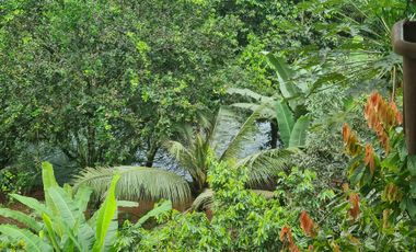 Venta Hostal Turística en Puerto Quito, 3 hectáreas