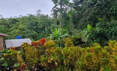 Venta Hostal Turística en Puerto Quito, 3 hectáreas
