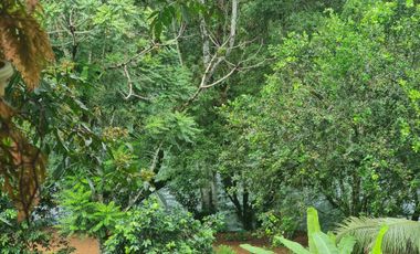 Venta Hostal Turística en Puerto Quito, 3 hectáreas