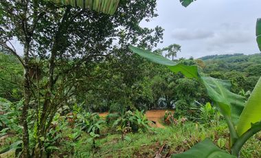 Venta Hostal Turística en Puerto Quito, 3 hectáreas