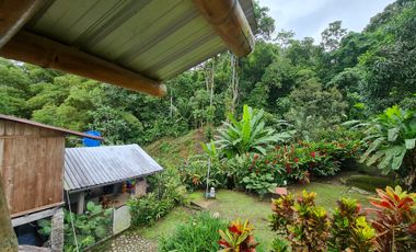 Venta Hostal Turística en Puerto Quito, 3 hectáreas