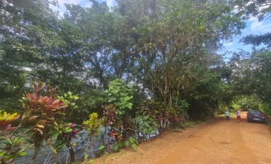 Venta Hostal Turística en Puerto Quito, 3 hectáreas