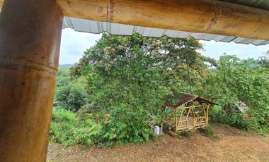 Venta Hostal Turística en Puerto Quito, 3 hectáreas