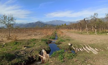 CAMPO, AGRÍCOLA EN VENTA, TENO, REGIÓN DEL MAULE