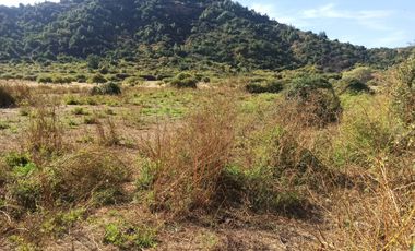 CAMPO, AGRÍCOLA EN VENTA, TENO, REGIÓN DEL MAULE