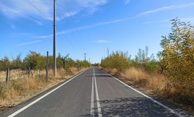 CAMPO, AGRÍCOLA EN VENTA, TENO, REGIÓN DEL MAULE