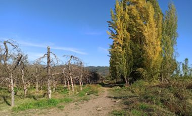 CAMPO, AGRÍCOLA EN VENTA, TENO, REGIÓN DEL MAULE