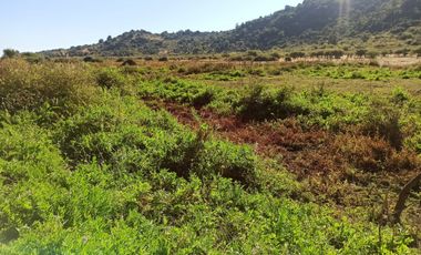 CAMPO, AGRÍCOLA EN VENTA, TENO, REGIÓN DEL MAULE