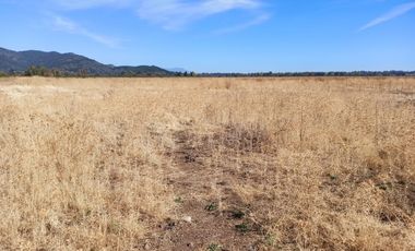 CAMPO, AGRÍCOLA EN VENTA, TENO, REGIÓN DEL MAULE