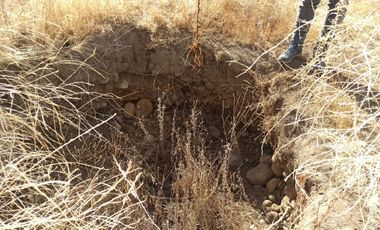 CAMPO, AGRÍCOLA EN VENTA, TENO, REGIÓN DEL MAULE