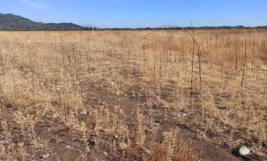 CAMPO, AGRÍCOLA EN VENTA, TENO, REGIÓN DEL MAULE