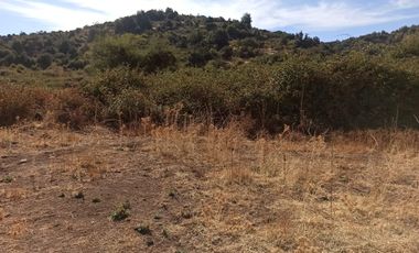 CAMPO, AGRÍCOLA EN VENTA, TENO, REGIÓN DEL MAULE
