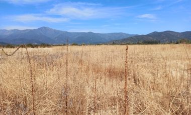 CAMPO, AGRÍCOLA EN VENTA, TENO, REGIÓN DEL MAULE