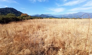 CAMPO, AGRÍCOLA EN VENTA, TENO, REGIÓN DEL MAULE