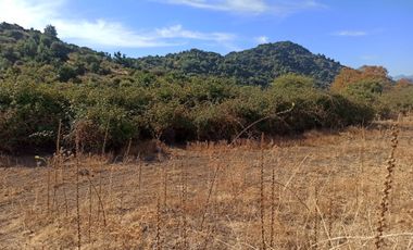 CAMPO, AGRÍCOLA EN VENTA, TENO, REGIÓN DEL MAULE