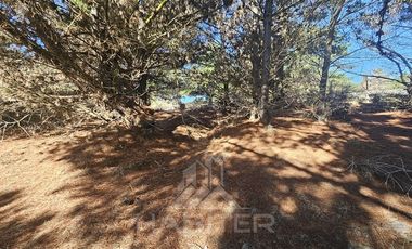 Parcela en Venta en Faro Curaumilla