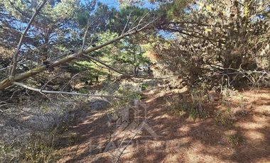 Parcela en Venta en Faro Curaumilla