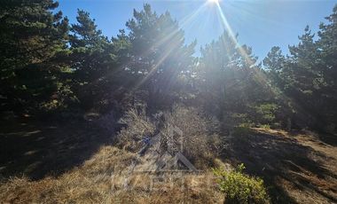 Parcela en Venta en Faro Curaumilla