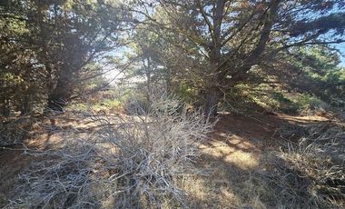 Parcela en Venta en Faro Curaumilla
