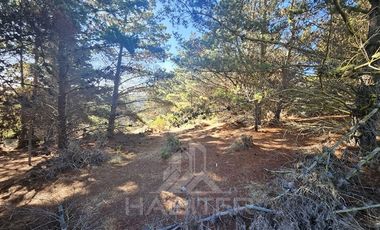 Parcela en Venta en Faro Curaumilla