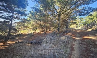 Parcela en Venta en Faro Curaumilla