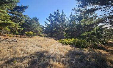 Parcela en Venta en Faro Curaumilla