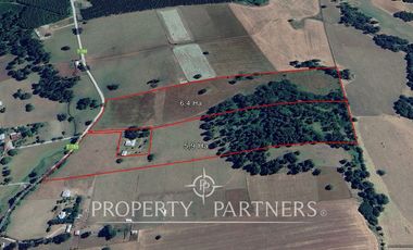 Terrenos de 6,4 y de 5,9 Ha colindantes