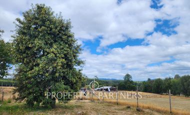 Terrenos de 6,4 y de 5,9 Ha colindantes