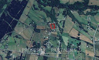 Media Ha en Malalhue sector Contra Bajo