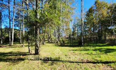 Media Ha en Malalhue sector Contra Bajo