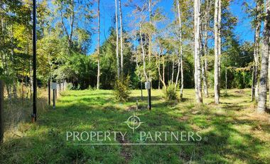 Media Ha en Malalhue sector Contra Bajo